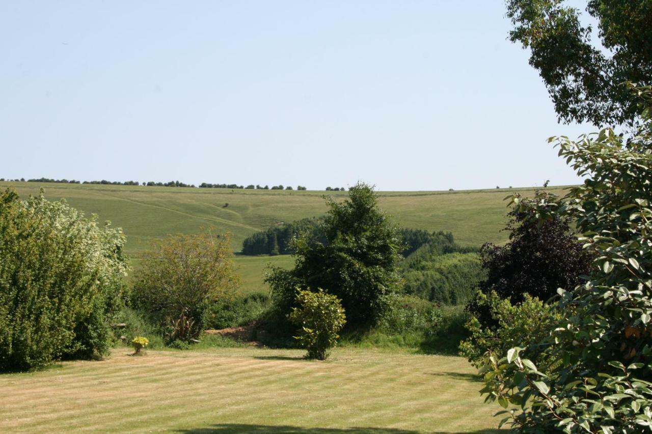 Spacious Swallow Cottage Tisbury Exteriör bild