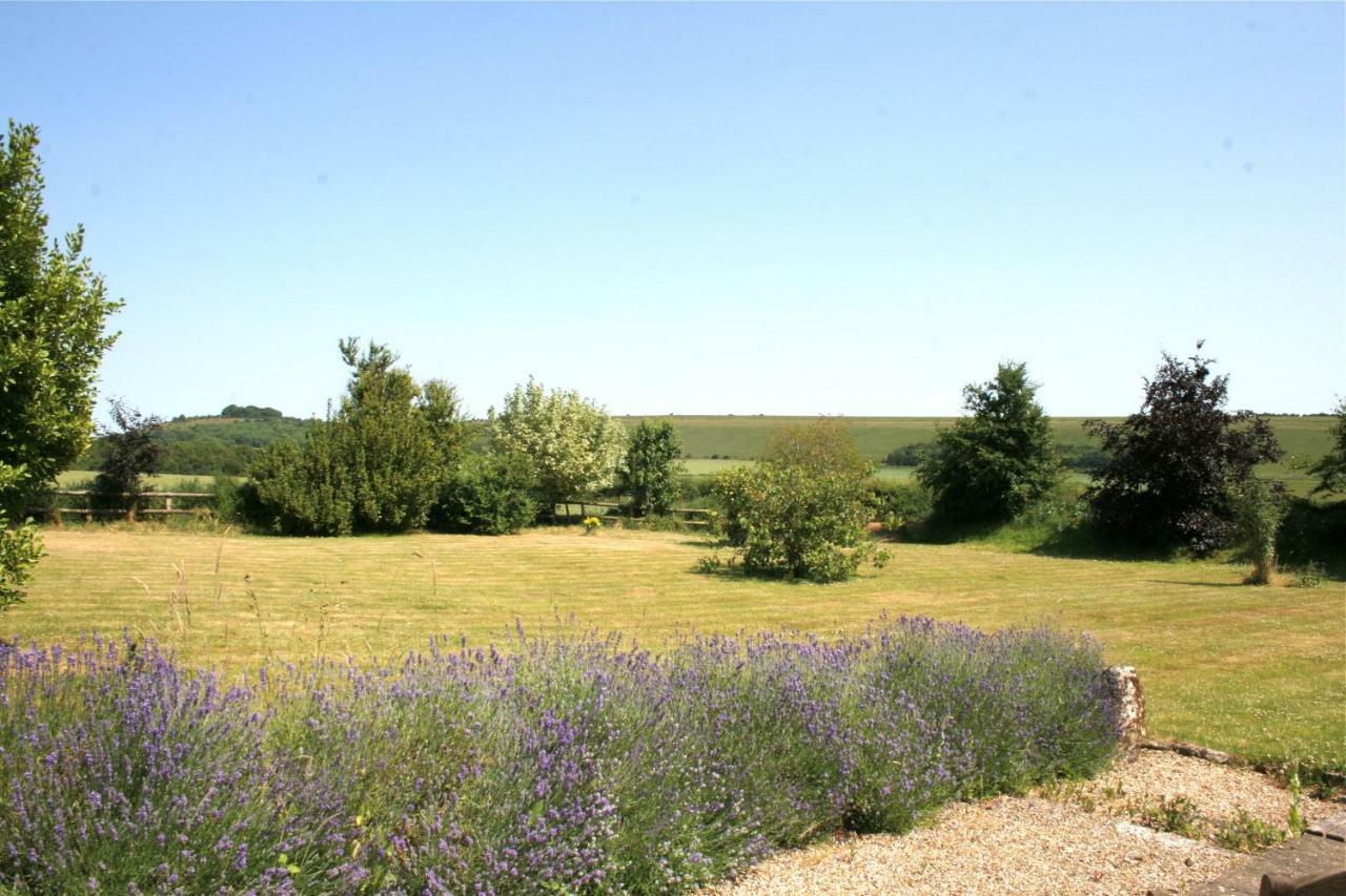 Spacious Swallow Cottage Tisbury Exteriör bild