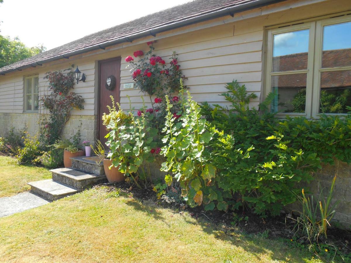 Spacious Swallow Cottage Tisbury Exteriör bild